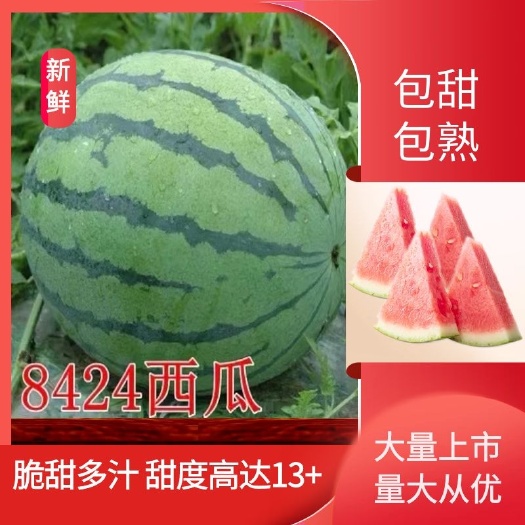 京欣西瓜，支持线上看货，代办。今天价格小幅度上涨