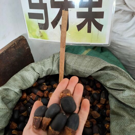 玉林 马牙果