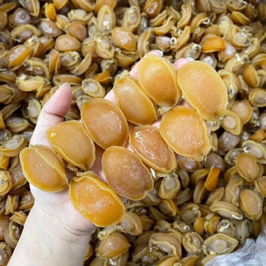 广州鲍鱼干 A厂大连鲍鱼规格30头-700头都有货