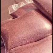 平南县 精品高粱