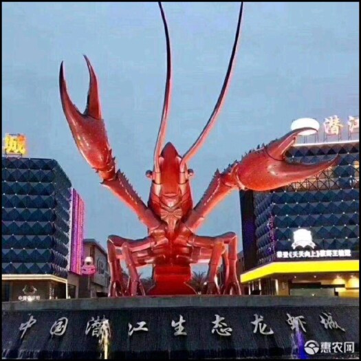 潜江市潜江小龙虾中青4—6，肉质饱满，干净。规格硬