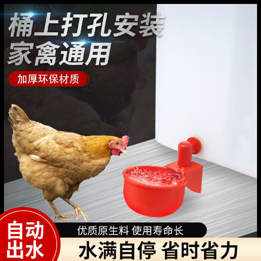 饮水设备 小鸡自动饮水器鸽子家禽雏鸡用自动饮水碗