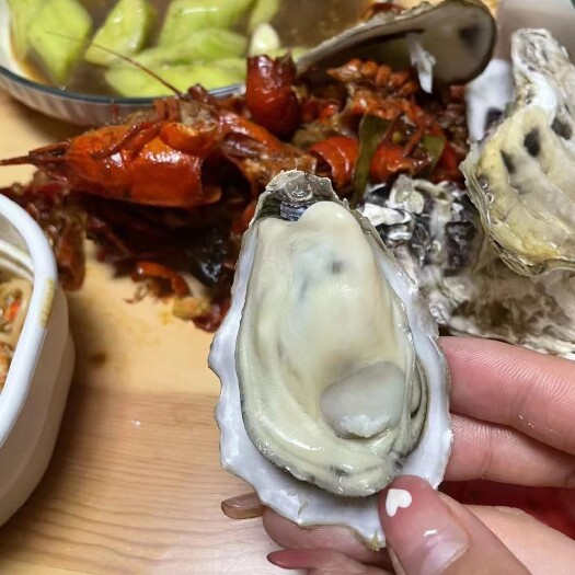 乳山市净化蚝 原汁原味乳山生蚝，产地直发，净化干干净净，全规格有货