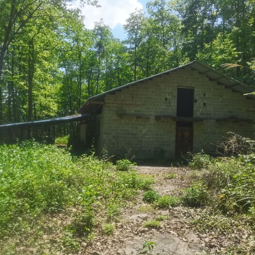 彭水畜牧养殖用地 坐标重庆市彭水县，摩围山旅游景区，交通方便，可