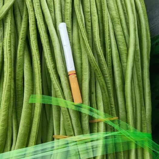北京 西双版纳长豆角大量有货