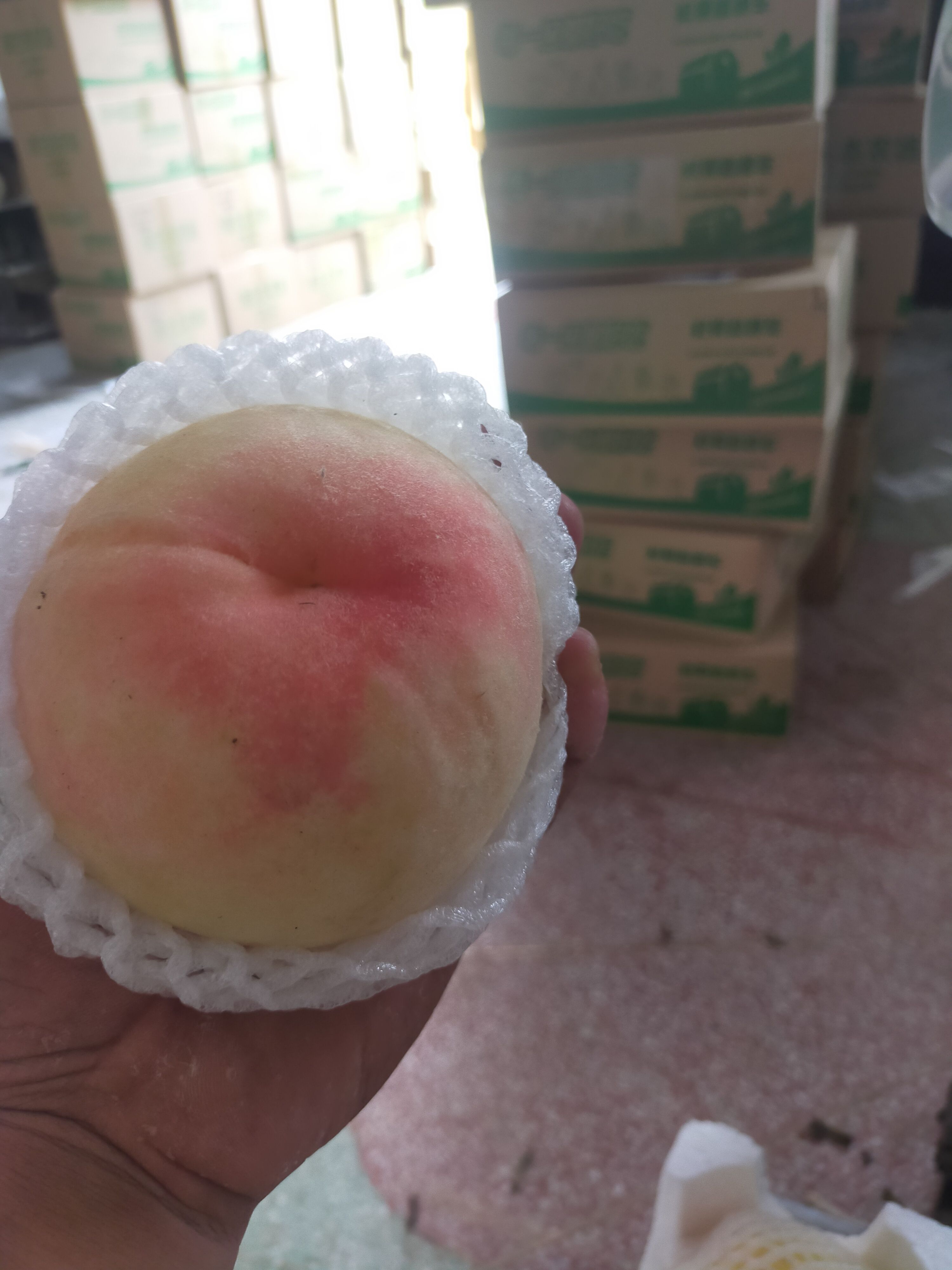 白桃 突围水蜜桃毛桃