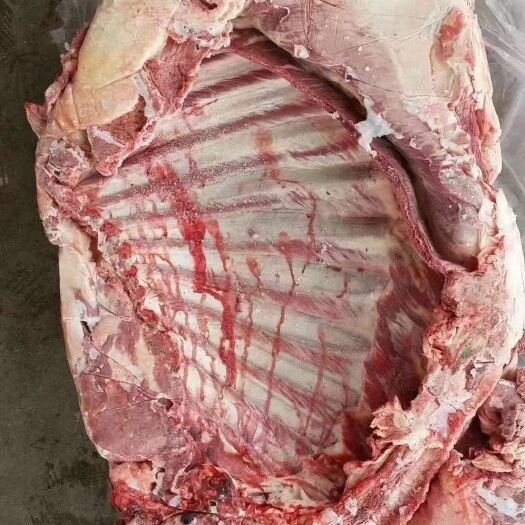 河间市羊肉  羊副产品 大羊排