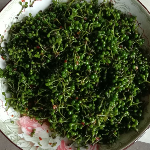 长阳县山胡椒 鲜胡椒 颗粒 