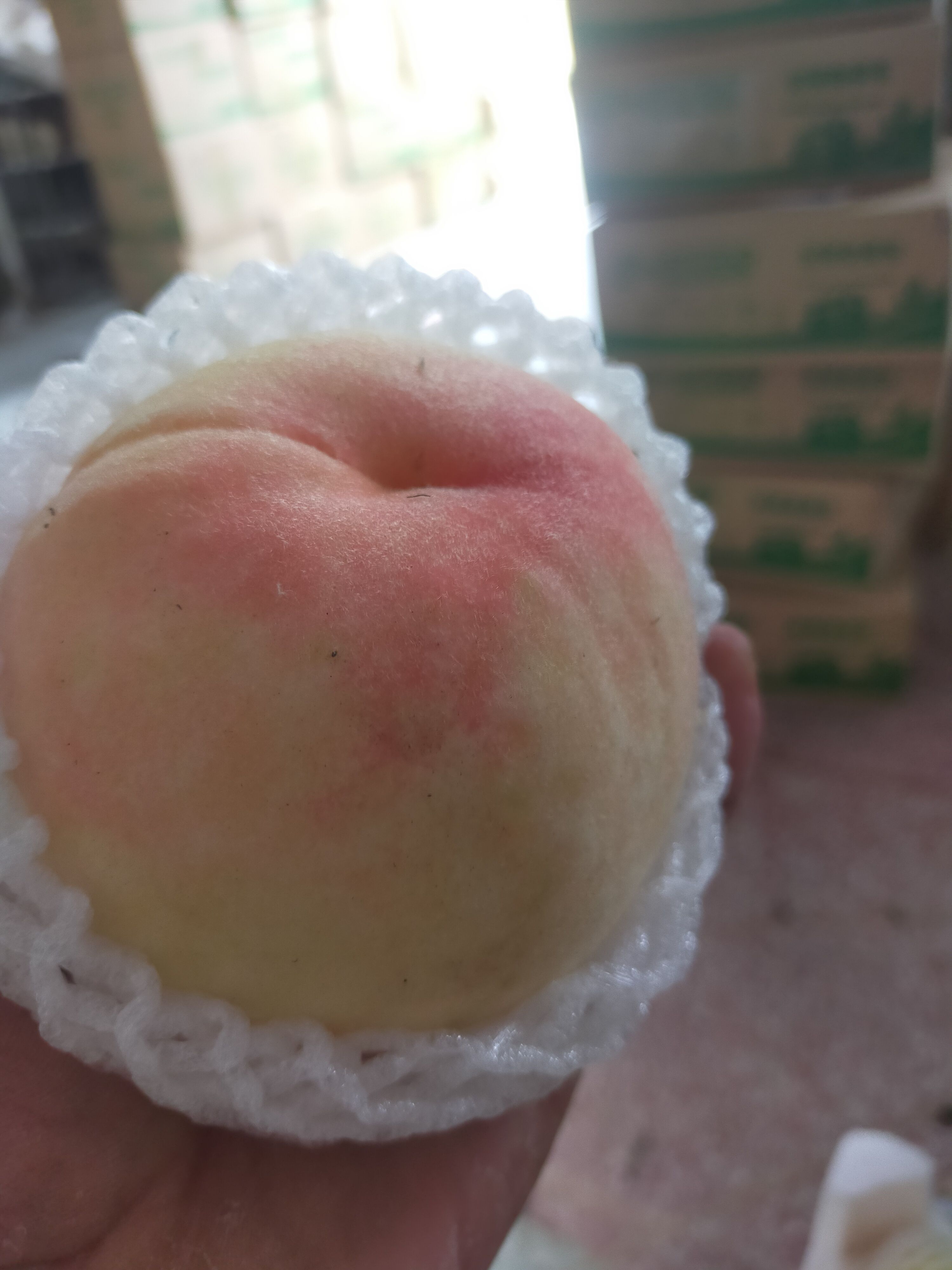 白桃 突围水蜜桃毛桃
