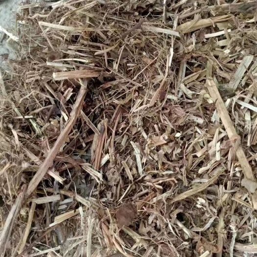 正定县 优质花生秧，无沙土无霉变，粗蛋白含量高