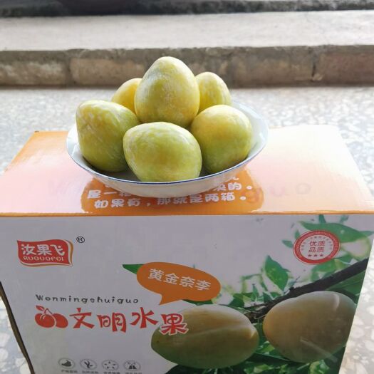 广州黄金奈李