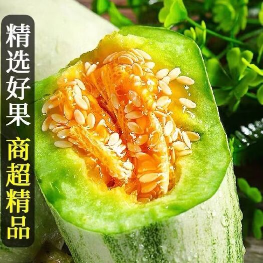 博洋甜瓜 山东博洋9号甜瓜正宗玻璃脆甜瓜博阳九瓜时令脆瓜批发