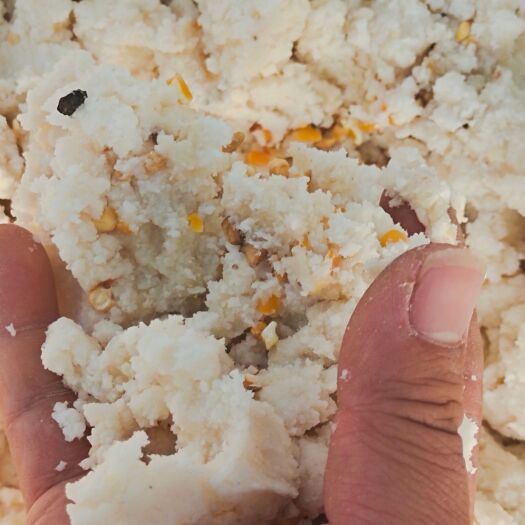 临泉县生物发酵豆腐渣