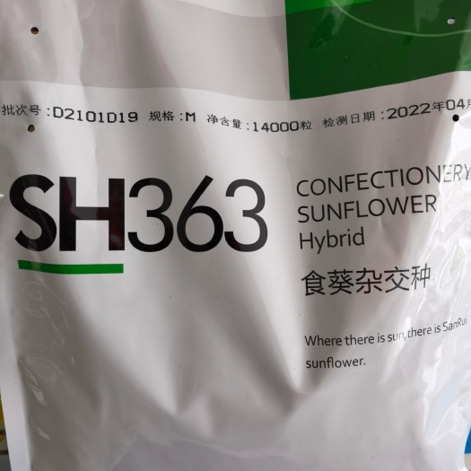 向日葵种子 三瑞SH363葵花种子