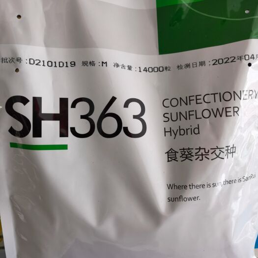 赤峰向日葵种子 三瑞SH363葵花种子