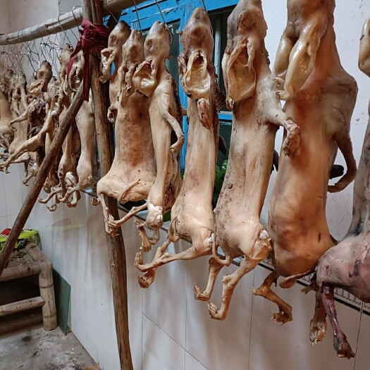 万载县兔肉类 兔子兔肉批发零售
