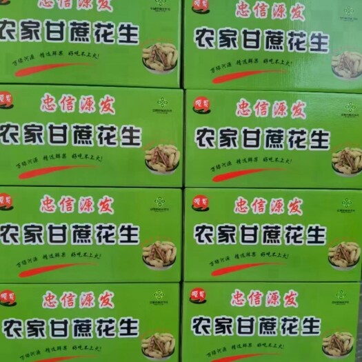 连平县【厂家直销】源发 农家甘蔗花生 颗粒饱满 一手货源 量大从优