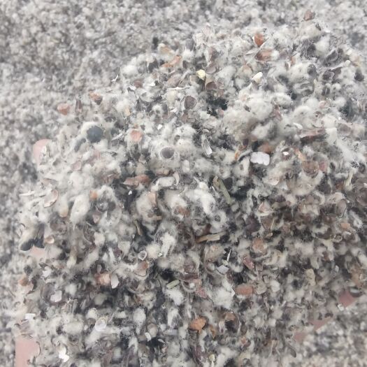 阿拉尔市棉籽壳 优质棉籽大壳，羊牛育肥好饲料，种蘑菇好材料都是最好的优选