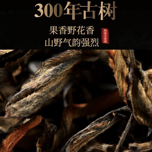 古树茶 2021年头春云南普洱茶农自销300年迷帝古树生茶