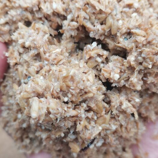 啤酒糟，（主要成分：大麦芽，小麦，糖份含量高，适口性好。）