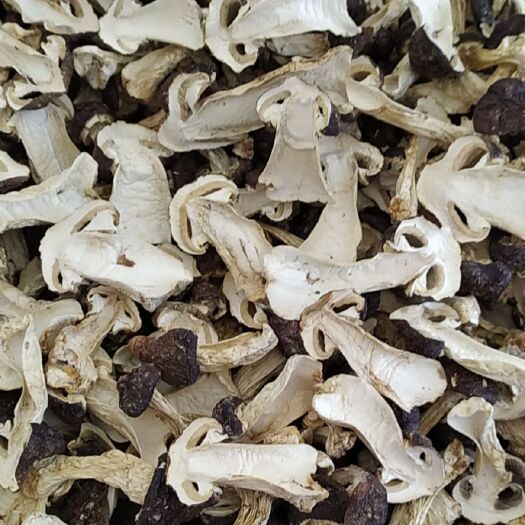 房县精品农家赤松茸，切片烤干无异味，煮汤配菜好帮手。