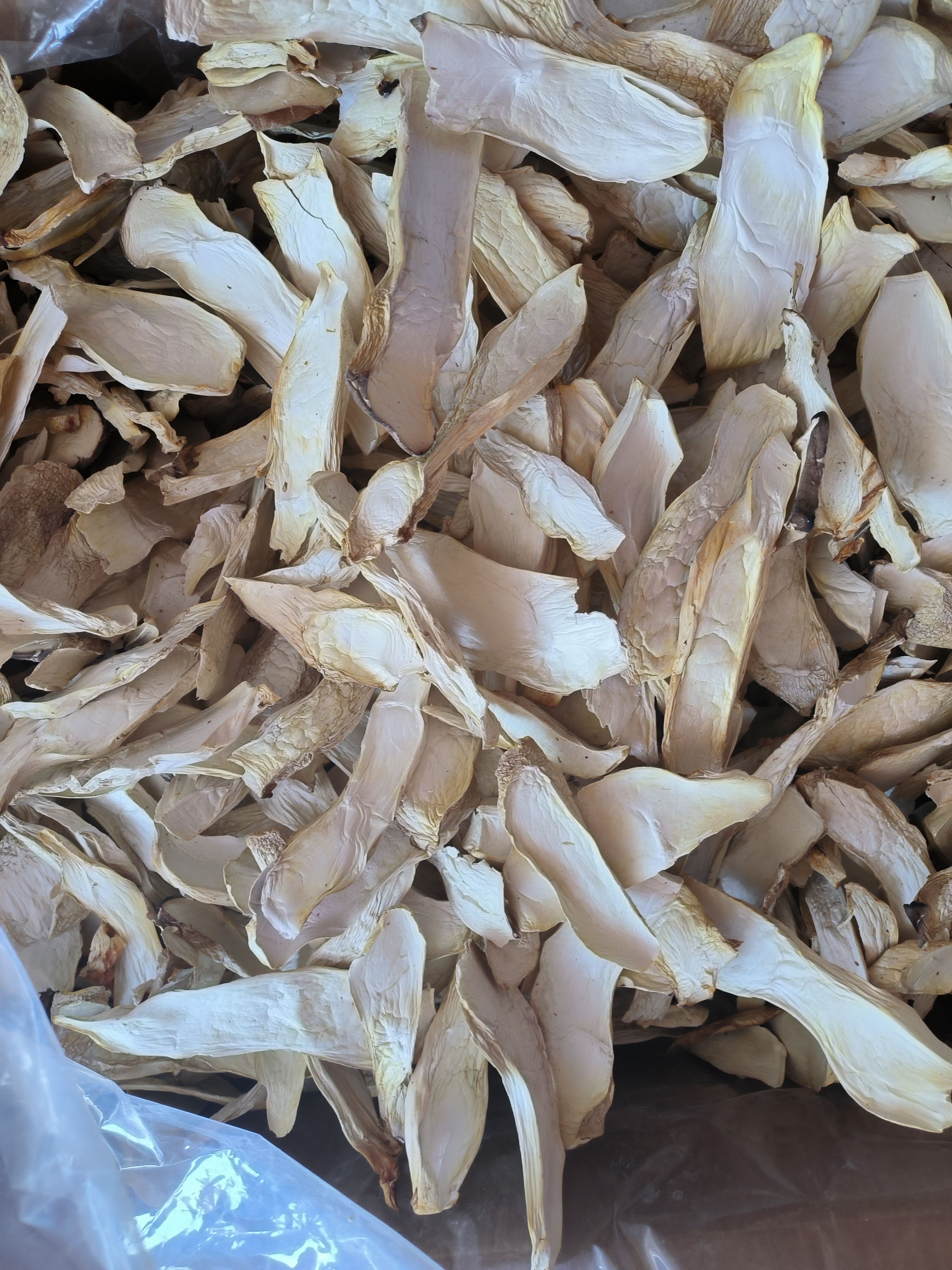 干杏鲍菇 杏鲍菇