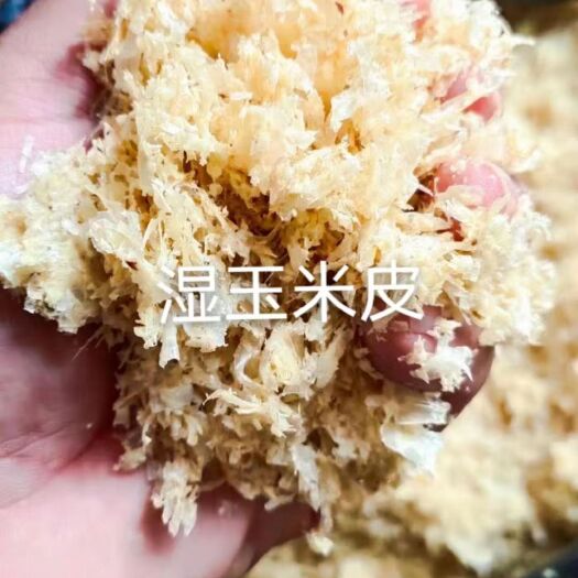 赵县 湿玉米皮