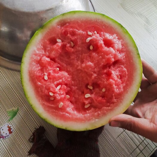郯城县8424头茬无籽西瓜