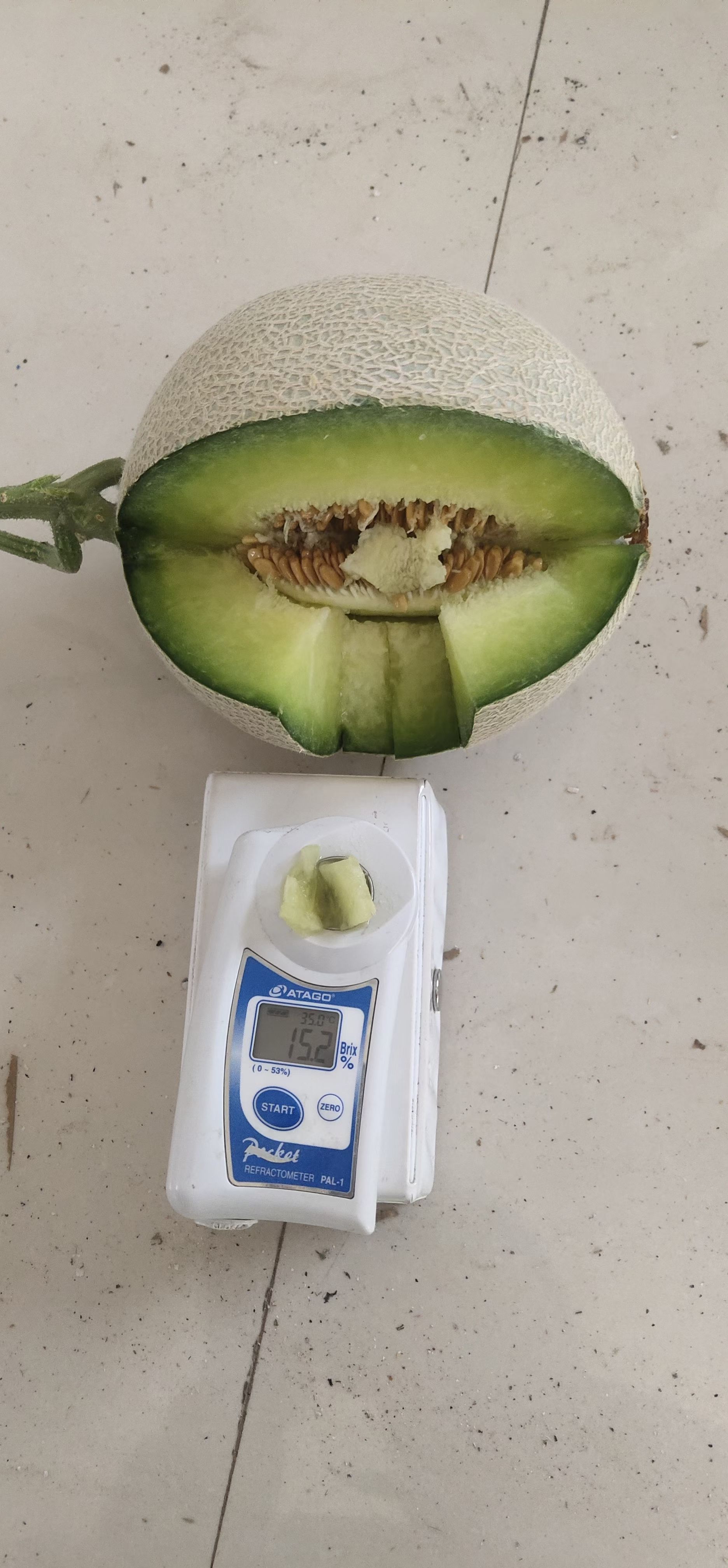  鲁厚甜网纹瓜玫珑瓜网络爆品