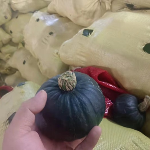 上林县贝贝南瓜