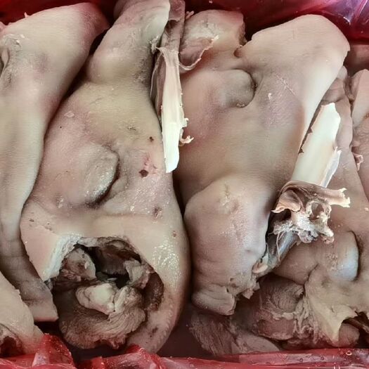 猪副产品 熟猪头肉