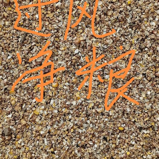 郓城县玉米渣 9个过风净粮吨吨