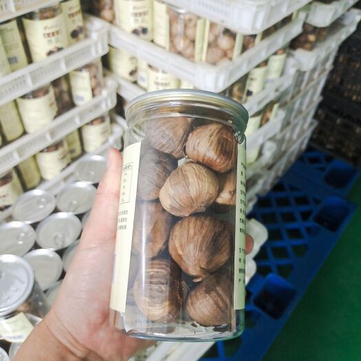 精品独头黑蒜批发零售 山东黑蒜产地直销