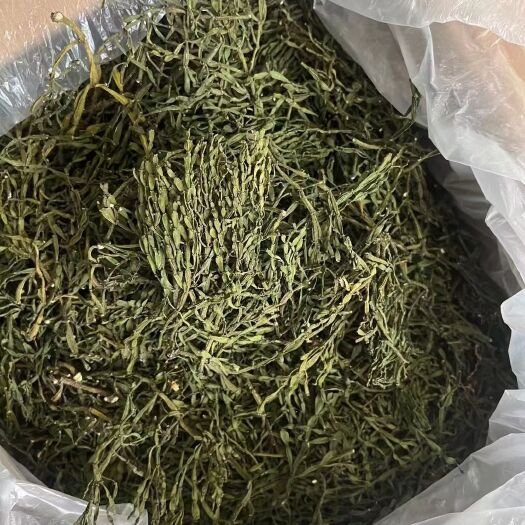 云县螃蟹脚  茶树寄生