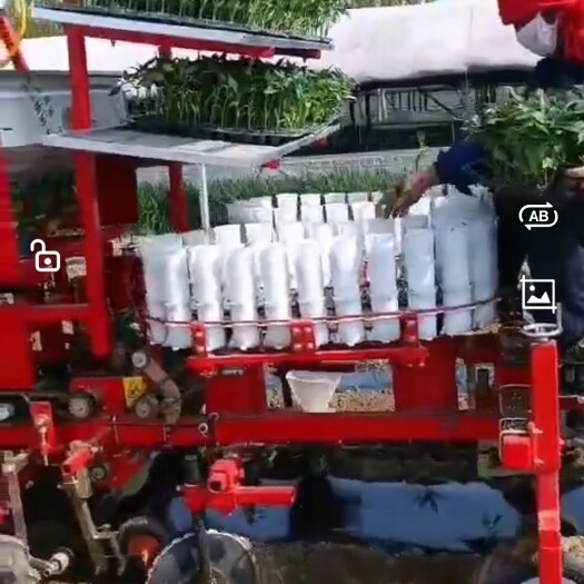  多功能移栽机