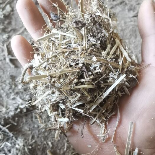 正阳县 黄白绿花生秧，保证无膜无土无霉变