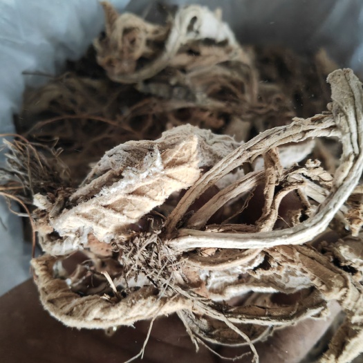 岩白菜欢迎咨询或采购