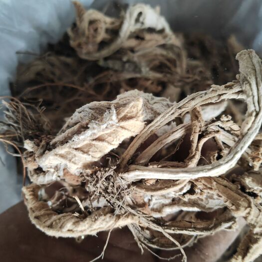 瓮安县岩白菜欢迎咨询或采购