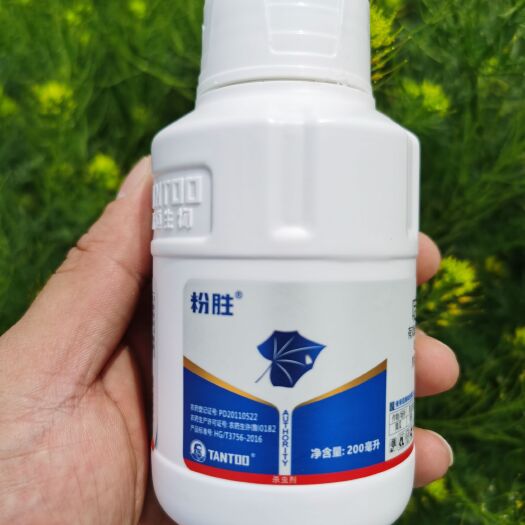 寿光市啶虫脒 粉胜灭虱，更胜一筹，专打抗性白粉虱。