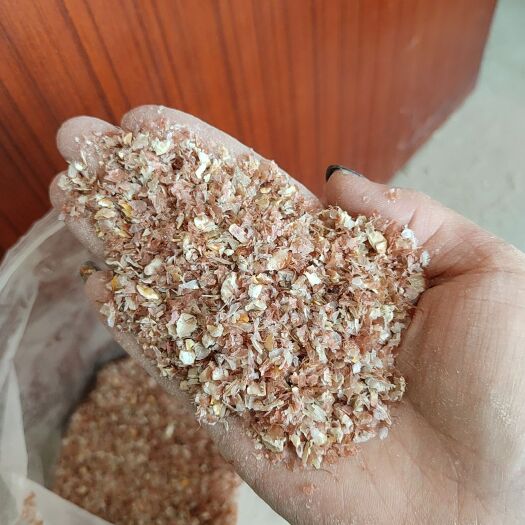 石家庄 玉米皮
