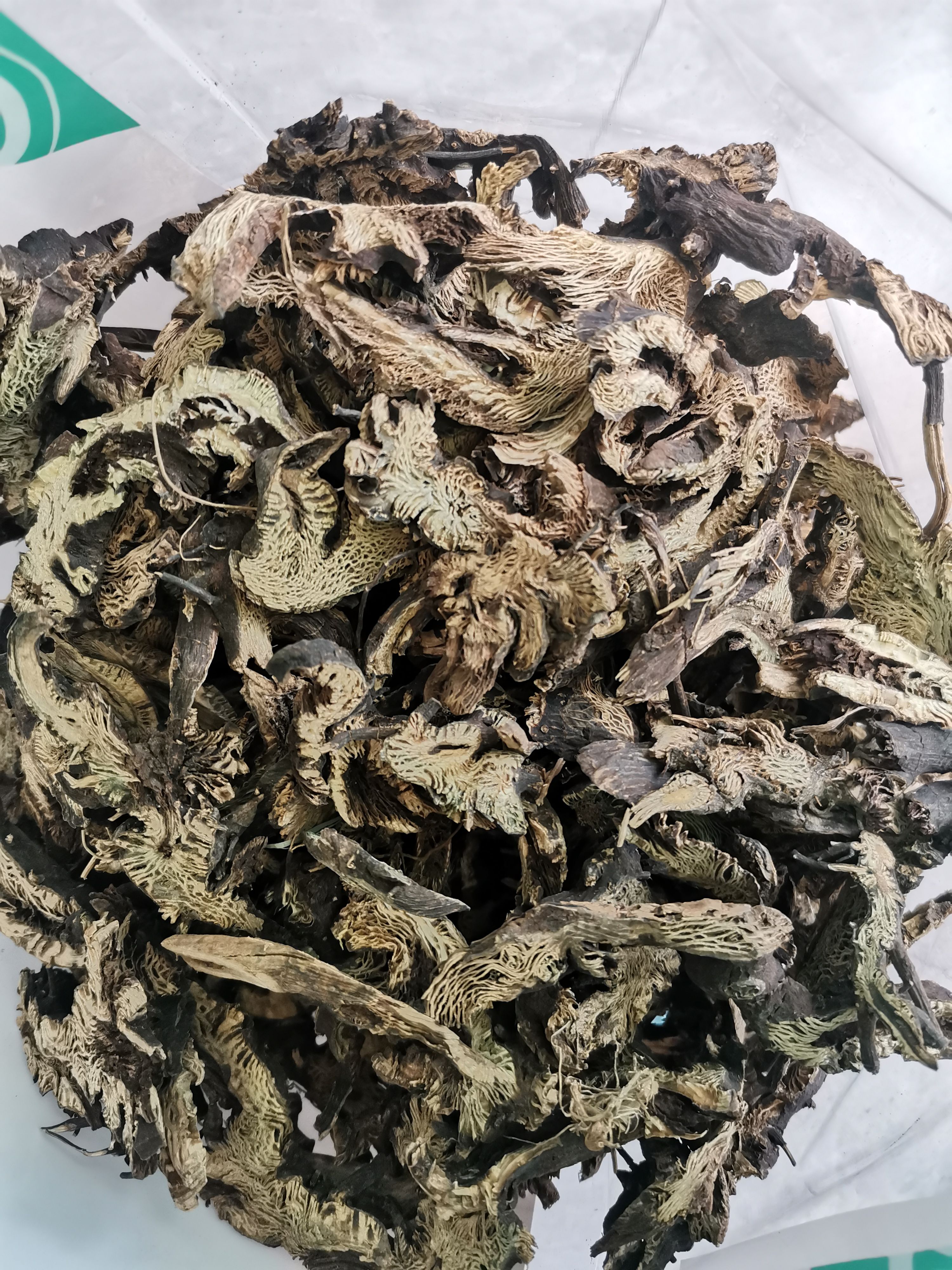 亳州正品升麻   升麻【假一赔十】