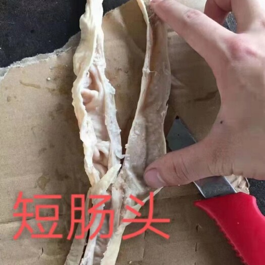 哈尔滨鲜短肠头