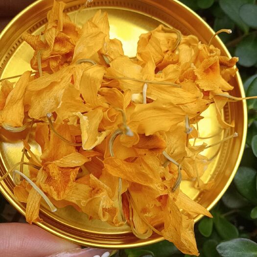 思茅石斛花