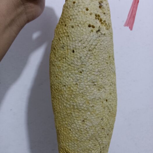 崇左小挂蜜