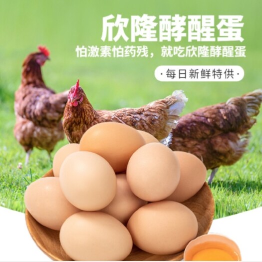 沈阳生态酵素鸡蛋