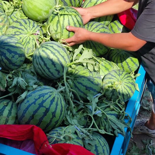 宿州精品美都，麒麟系列，欢迎下单