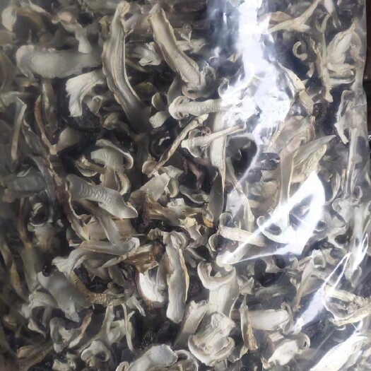 沙洋县赤松茸干货，都是最近新货，