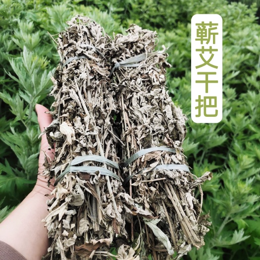 无极县艾草  干蕲艾洗澡泡脚艾灸香薰驱蚊艾灸