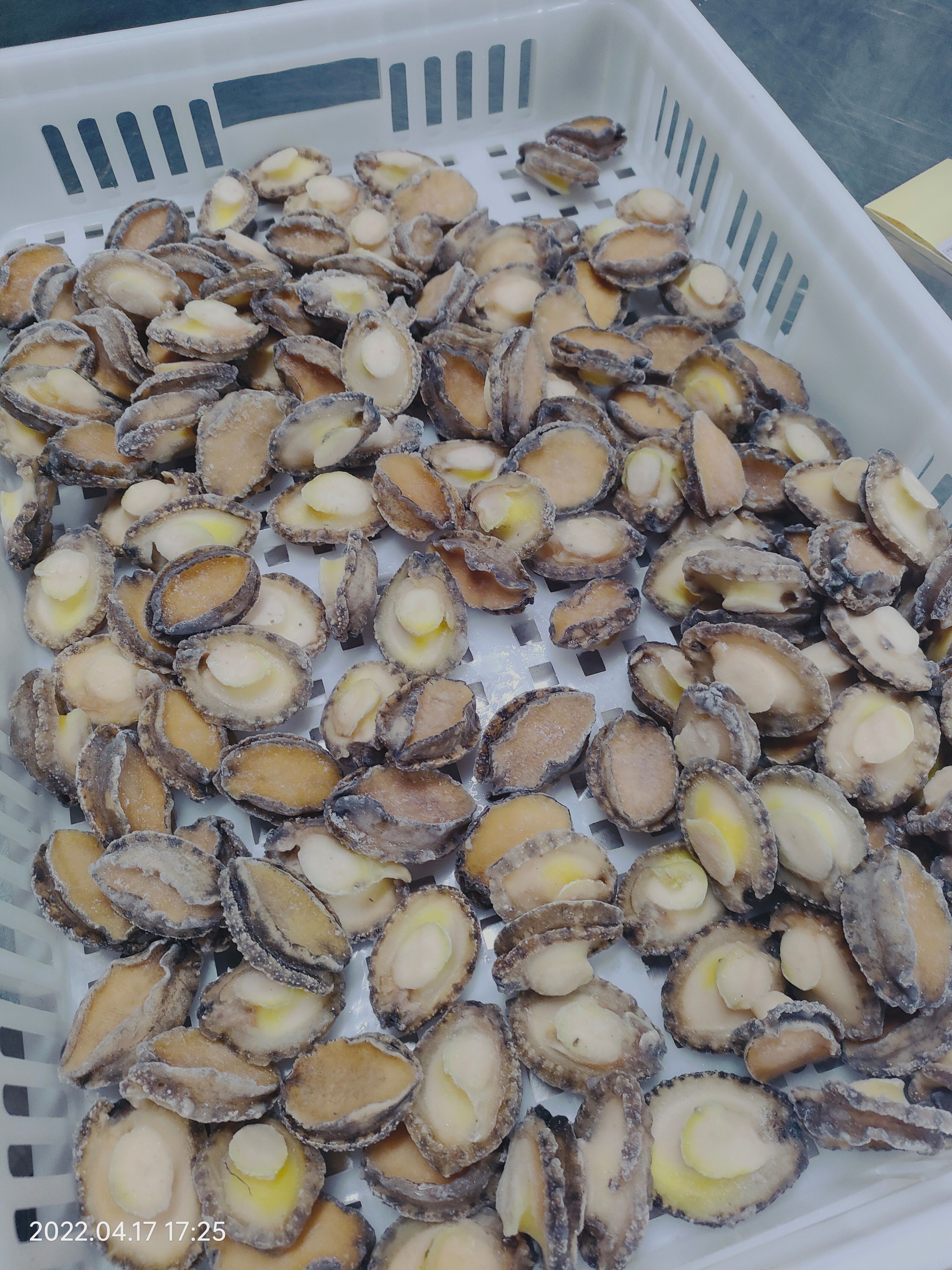 东山县半纹鲍  活冻品质鲍鱼肉，50粒/斤，小件试样4斤包邮，量大