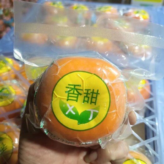 恭城脆柿，真空独立包装。